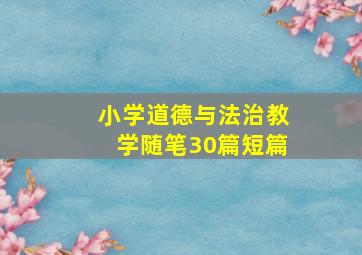 小学道德与法治教学随笔30篇短篇