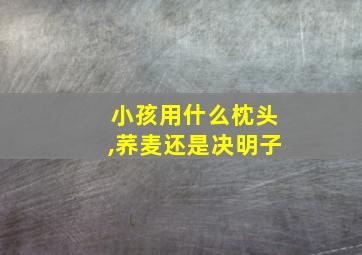 小孩用什么枕头,荞麦还是决明子