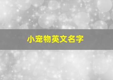 小宠物英文名字