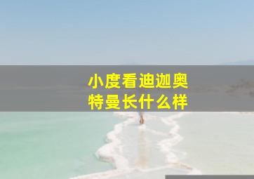 小度看迪迦奥特曼长什么样