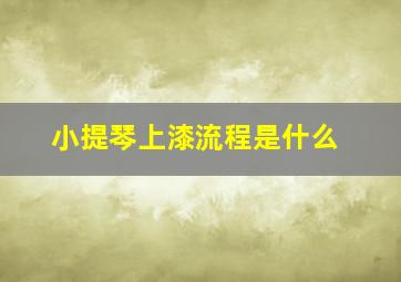 小提琴上漆流程是什么