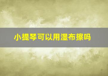 小提琴可以用湿布擦吗