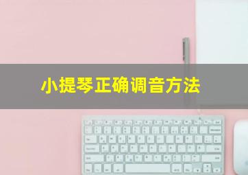 小提琴正确调音方法