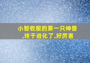 小智收服的第一只神兽,终于进化了,好厉害