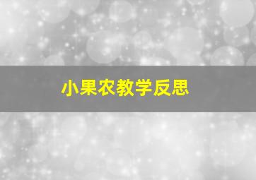 小果农教学反思