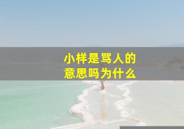 小样是骂人的意思吗为什么