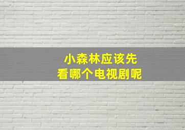 小森林应该先看哪个电视剧呢