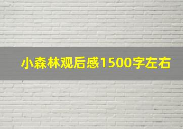 小森林观后感1500字左右