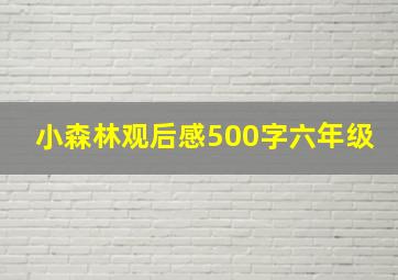 小森林观后感500字六年级