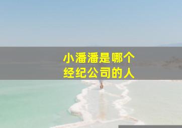 小潘潘是哪个经纪公司的人