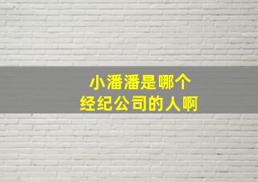 小潘潘是哪个经纪公司的人啊