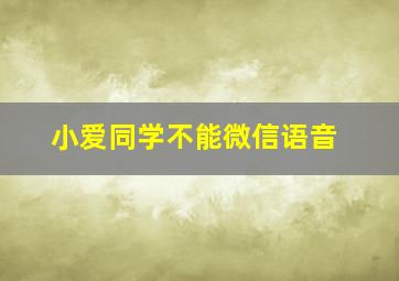 小爱同学不能微信语音