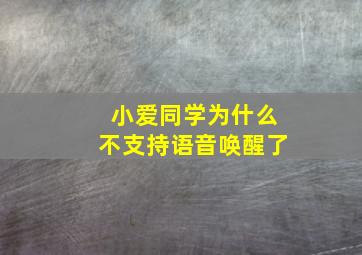 小爱同学为什么不支持语音唤醒了