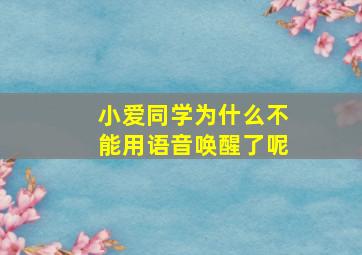 小爱同学为什么不能用语音唤醒了呢