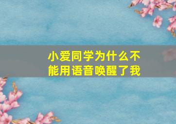 小爱同学为什么不能用语音唤醒了我