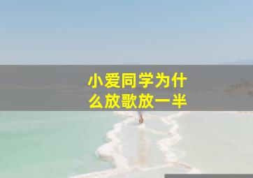 小爱同学为什么放歌放一半