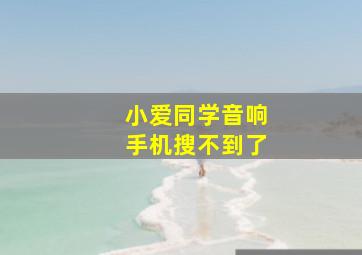 小爱同学音响手机搜不到了