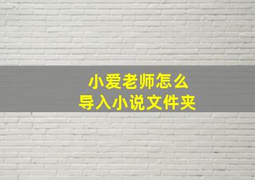 小爱老师怎么导入小说文件夹