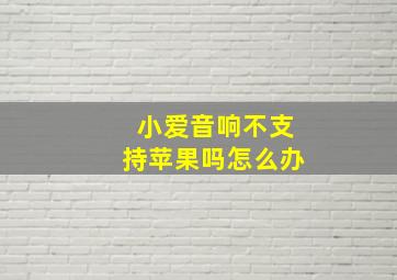 小爱音响不支持苹果吗怎么办