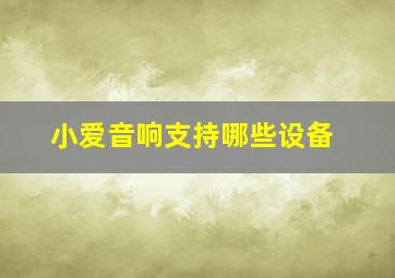 小爱音响支持哪些设备