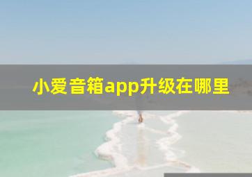 小爱音箱app升级在哪里