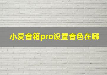 小爱音箱pro设置音色在哪