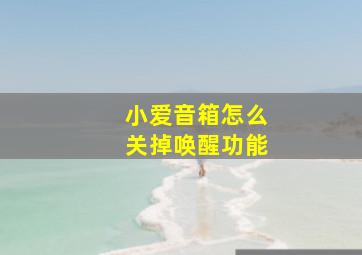 小爱音箱怎么关掉唤醒功能