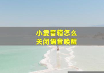 小爱音箱怎么关闭语音唤醒