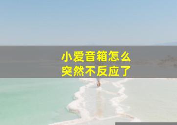 小爱音箱怎么突然不反应了