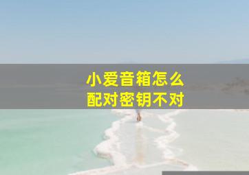 小爱音箱怎么配对密钥不对