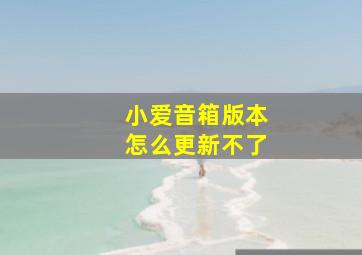 小爱音箱版本怎么更新不了