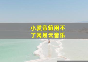 小爱音箱用不了网易云音乐