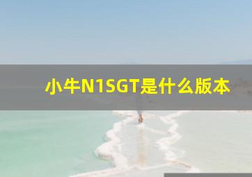 小牛N1SGT是什么版本