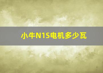 小牛N1S电机多少瓦