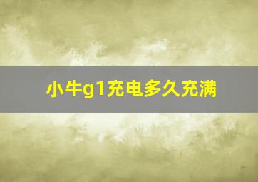 小牛g1充电多久充满