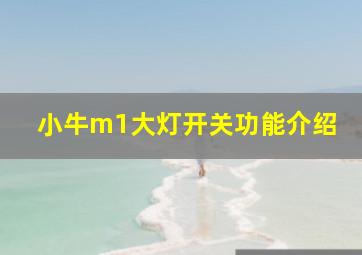 小牛m1大灯开关功能介绍