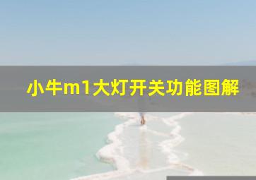 小牛m1大灯开关功能图解