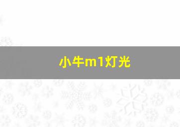 小牛m1灯光