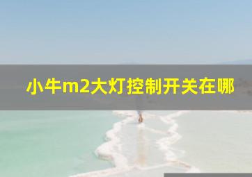 小牛m2大灯控制开关在哪