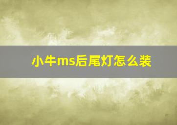 小牛ms后尾灯怎么装