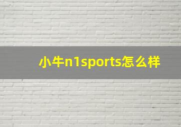 小牛n1sports怎么样