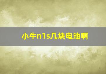 小牛n1s几块电池啊