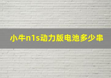 小牛n1s动力版电池多少串