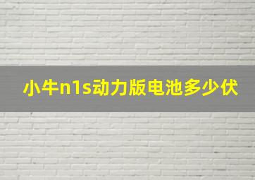 小牛n1s动力版电池多少伏