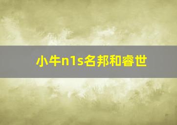 小牛n1s名邦和睿世