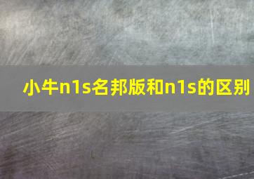 小牛n1s名邦版和n1s的区别