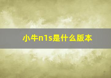 小牛n1s是什么版本