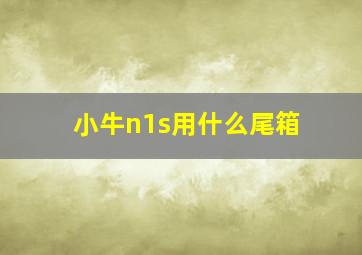 小牛n1s用什么尾箱