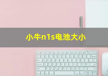 小牛n1s电池大小