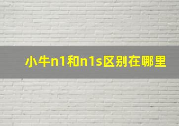 小牛n1和n1s区别在哪里